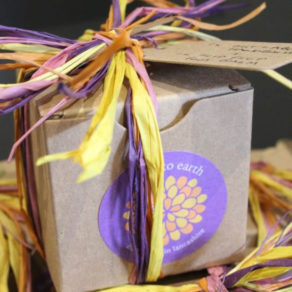 Down to Earth gift bundle